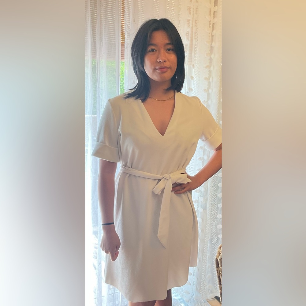 Zara Dress